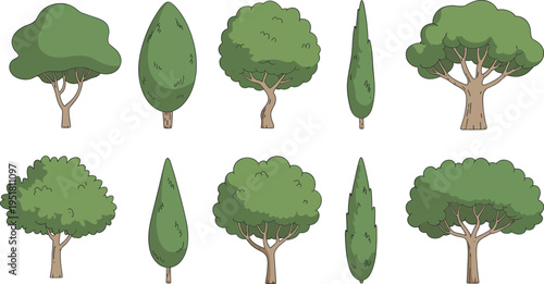 Green leafy vegetables isolated on white background with shadows broccoli cabbage