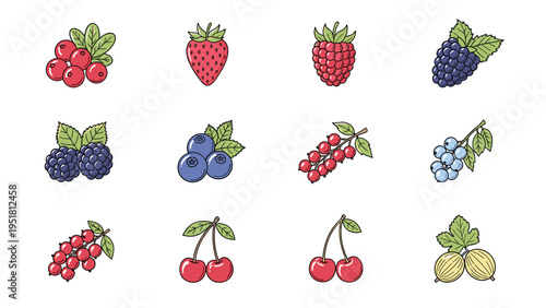 Colorful icon set featuring a variety of popular berries such as cranberries, strawberries, raspberries, blackberries, blueberries, currants, cherries, and gooseberries.