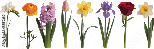 Vibrant tulips and daffodils in green vases on white background yellow tulip purple tulip red tulip