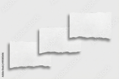 Three blank white torn paper pieces with rough edges and soft shadows, isolated on a clean light gray background, perfect for text, notes, or design elements.