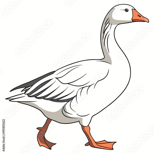 Illustration of a walking white goose with orange beak and feet