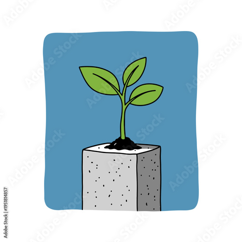 Plant Growing from Concrete Block