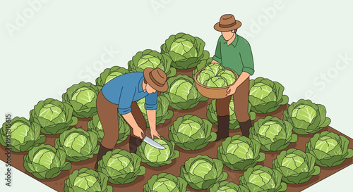 Two farmers are harvesting a field of vibrant green cabbages with a distinct flat silhouette high quality professional detailed modern elegant