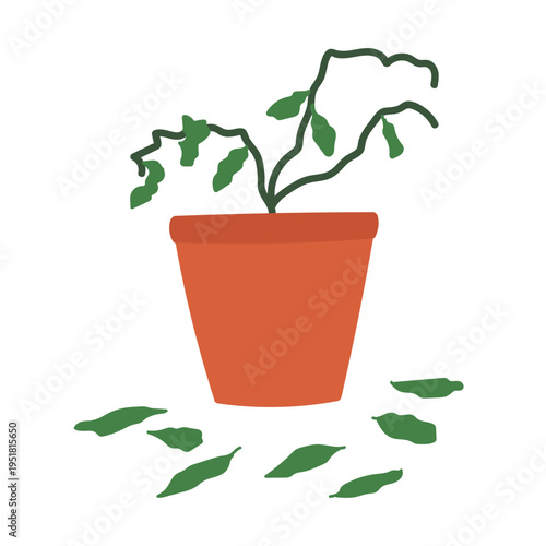 Dead plant with dry and fallen leaves in pot in flat cartoon design. Vector illustration