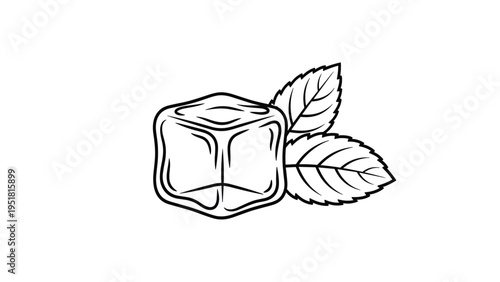 Crisp black and white line art illustration depicting a perfectly formed ice cube alongside two fresh mint leaves, symbolizing coolness and refreshment.