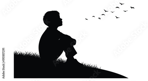A silhouette of a boy seated in grass gazing upwards at flying birds