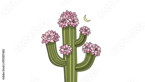 Beautiful illustration of a tall saguaro cactus covered in large blooming pink flowers set under a delicate yellow crescent moon.