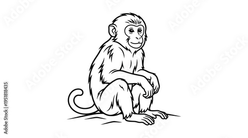 Monkey sitting on the ground looking.