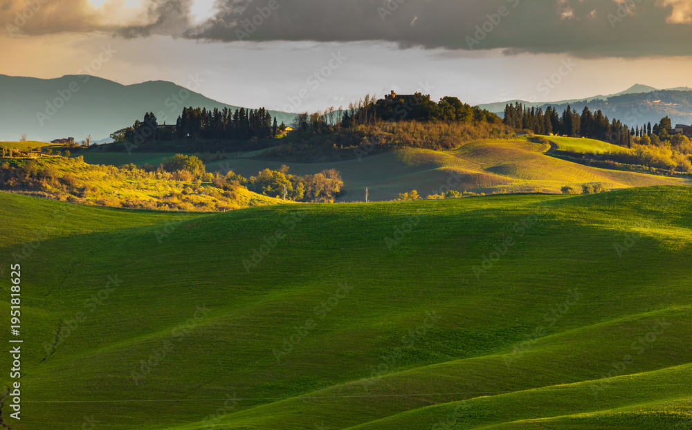 Fototapeta premium Tuscan rolling hills receiving golden light in Asciano, Tuscany, Italy.