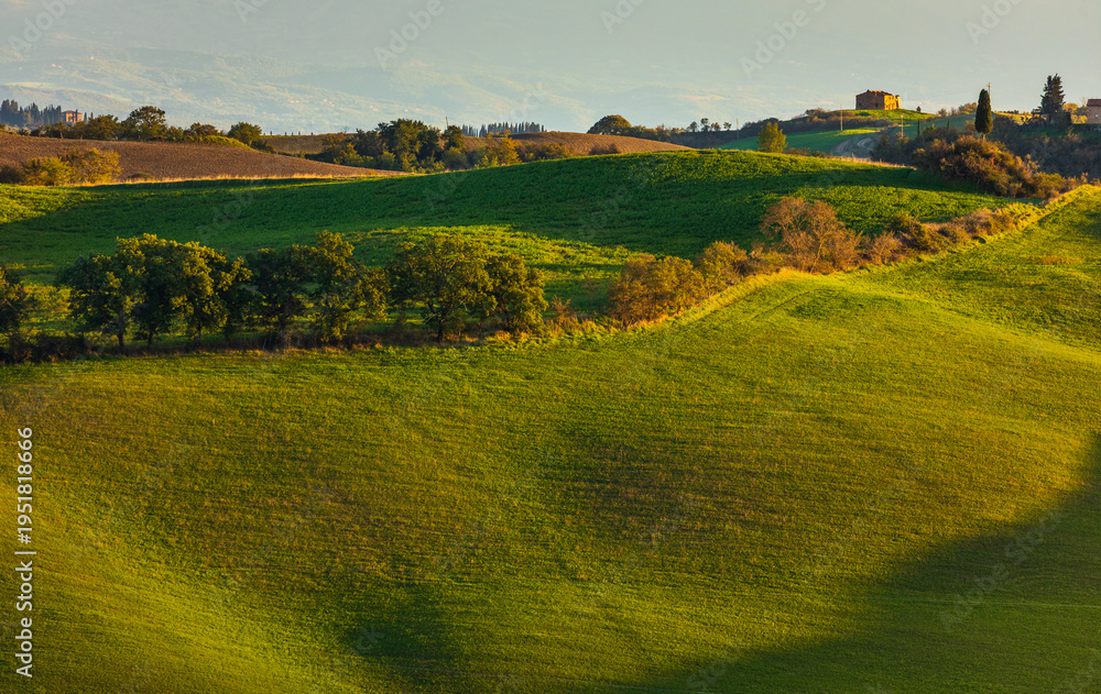 Naklejka premium Rolling green hills capturing sunlight in Tuscan countryside, Italy.