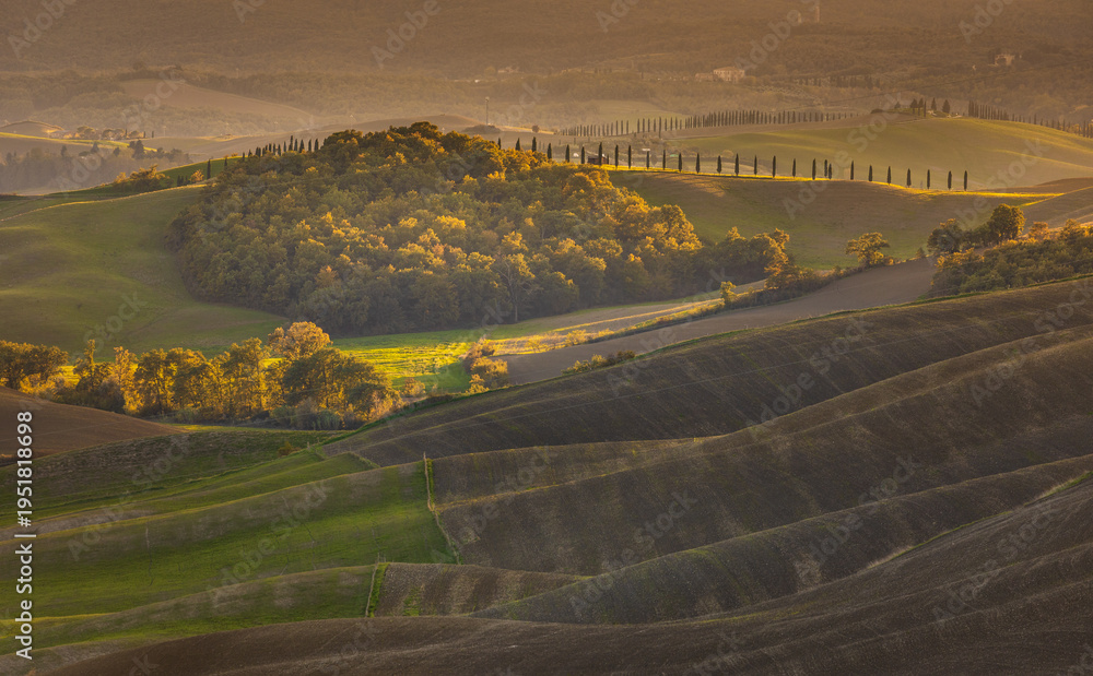 Obraz premium Tuscan rolling hills at sunset with cypress trees, Tuscany, Italy.