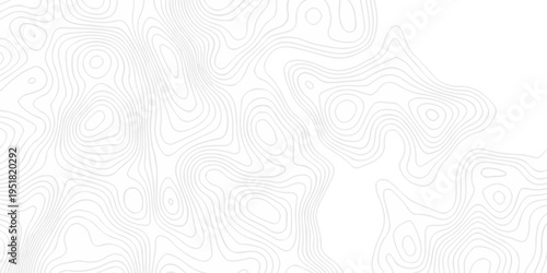 Topographic seamless map pattern with contour lines. Abstract geographic elevation design, lines sea map modern white background.