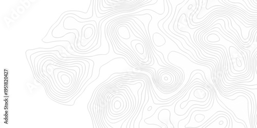 Topographic seamless map pattern with contour lines. Abstract geographic elevation design, lines sea map modern white background.