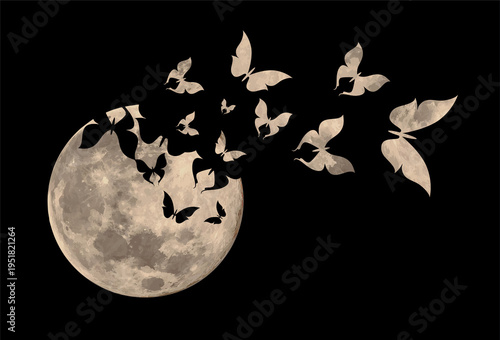Night landscape with moon and butterflies.