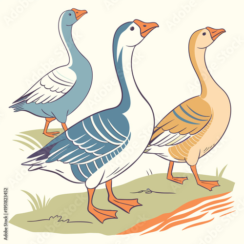 Three colorful geese standing on green grass near a pond, handdrawn illustration