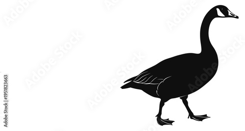 Black silhouette of a canada goose