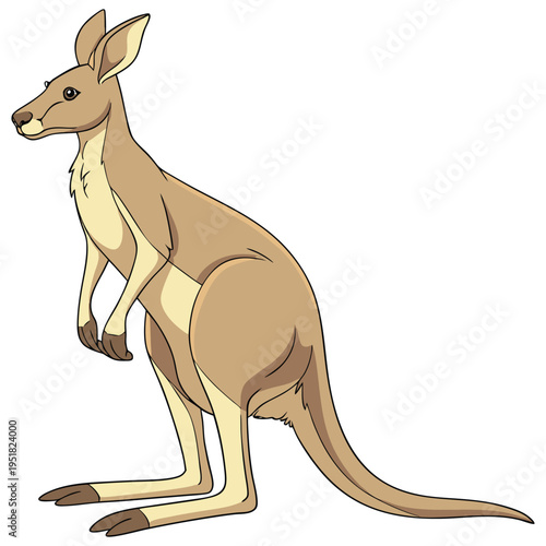 Cartoon illustration of a standing kangaroo