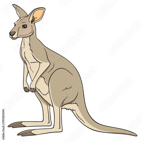 Handdrawn illustration of a cute kangaroo standing in profile