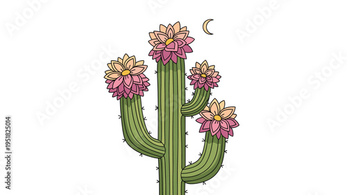 Tall green cactus with blooming pink and yellow flowers stands under a crescent moon in a quiet desert landscape at night time.