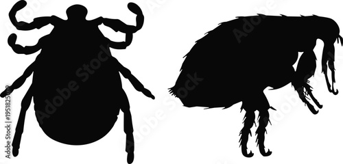 Tick and Flea Black Silhouette Vector Illustration Set Featuring Parasitic Insects For Pest Control Services Veterinary Medicine and Health Education.