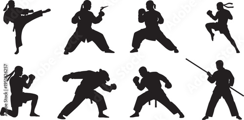 Martial Arts Poses Displayed Energically