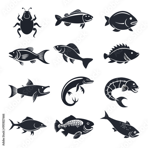 Monochrome icons illustration various fish and beetle species