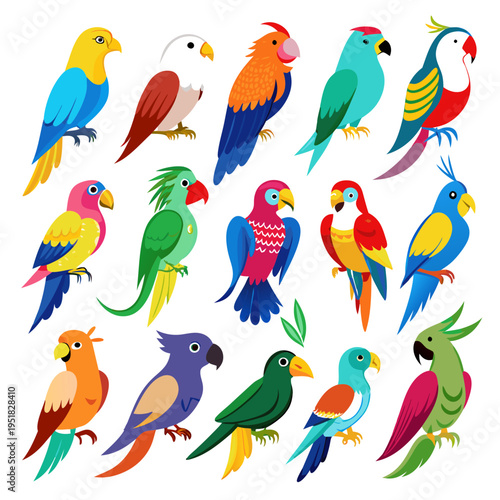 Colorful parrot variety in flat vector design against white