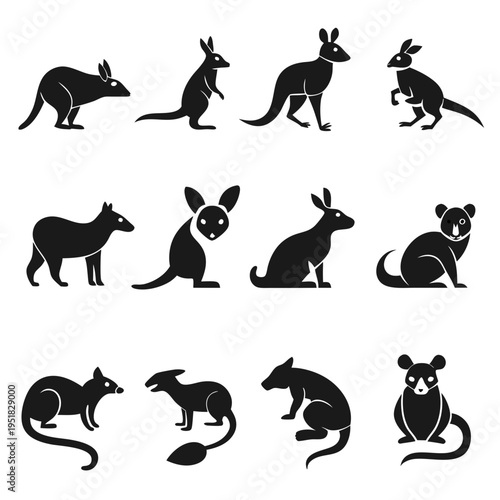 Australian animals: vector silhouette illustrations of native wildlife