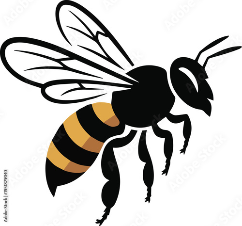 Black and orange of a soaring eagle with wings spread wide black eagle orange eagle bird eagle wings