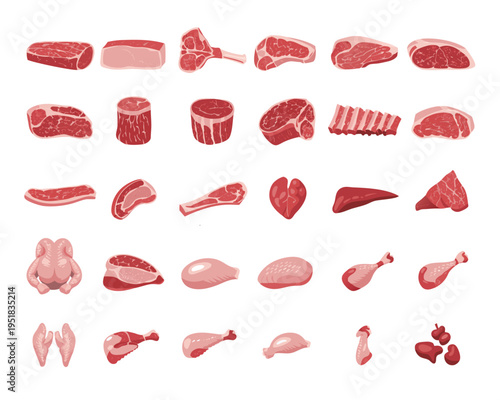 Detailed Raw Meat and Poultry Cuts Variety Collection Set
