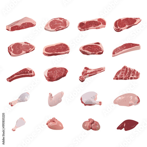 Detailed Raw Meat and Poultry Cuts Variety Collection Set