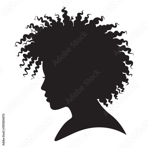 A striking profile view of a woman with voluminous natural afro hair a silhouette