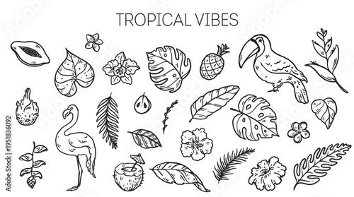 Hand drawn tropical doodle elements set. Palm leaves monstera, flamingo, toucan, exotic flowers, fruits. Summer clipart. Whimsical vector illustration.