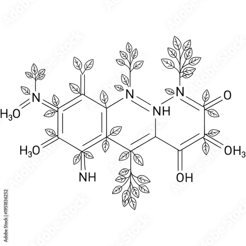 Chemical structure of chlorophyll molecule with water interaction diagram