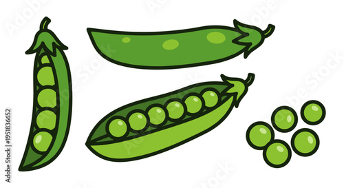 Pea Pods and Peas Illustration