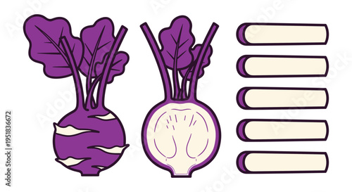 Purple Kohlrabi Vegetable Illustration