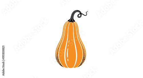 Ripe butternut squash with its characteristic bell shape and orange skin featuring a curly black stem against white.