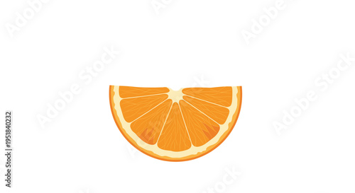 Realistic vector illustration of a juicy orange slice showing the detailed pulp texture and rind is centered on a white background.