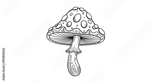 Highly detailed black and white line art illustration of a wild mushroom with large spots on its cap is isolated for design work.