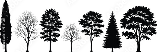 Collection of various tree silhouettes including pine cypress and deciduous species isolated on white background for nature and landscape design
