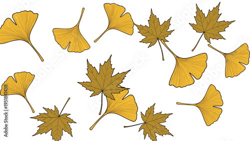 Falling autumn leaves including golden ginkgo and brown maple leaves scattered randomly across a white background.