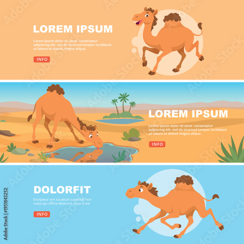 Camel. banners template with wild camels in action poses walking in desert landscape