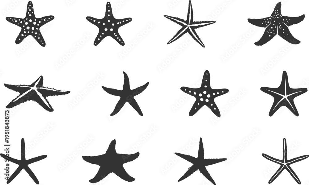 Fototapeta premium Starfish silhouette set, Starfish icon, Starfish clipart, Tropical starfish silhouette, Starfish vector bundle -V02.