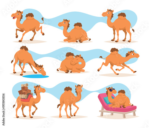 Camels. Desert domestic animals cartoon cute camel as characters exact vector templates