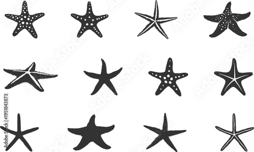 Starfish silhouette set, Starfish Svg, Starfish icon, Starfish clipart, Tropical starfish svg, Starfish vector bundle -V02.