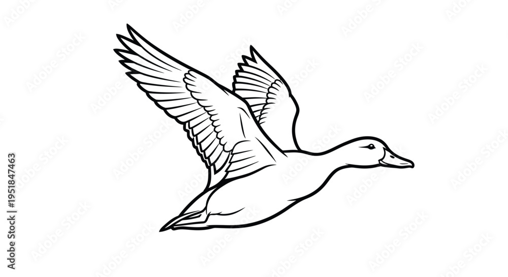 Obraz premium A dynamic illustration of a duck in flight a striking silhouette