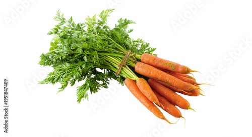 Fotografie Fresh baby carrots with green tops isolated PNG, bunch of orange root vegetables