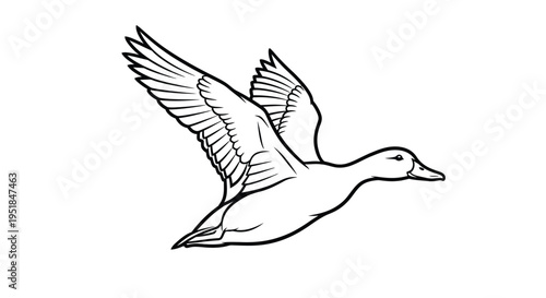 A dynamic illustration of a duck in flight a striking silhouette