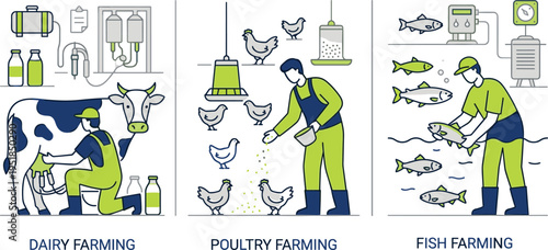 Agriculture farming illustration set, dairy poultry and fish farming processes, livestock production concept, modern farm work design, food industry vector graphic