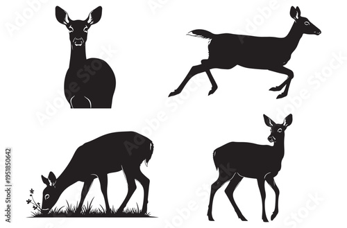 Doe deer in various poses black silhouettes set includes head on running grazing and standing graceful wild animal graphics for your design needs